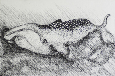 Картина под названием "Графичный кит" - Anzhela Bagramyan, Подлинное произведение искусства, Чернила
