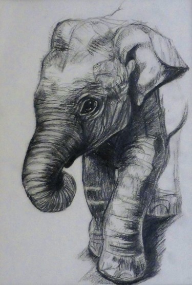 Desenho intitulada "Éléphant (dessin)" por Apolline Moufle, Obras de arte originais, Lápis