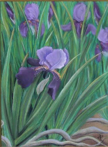 Drawing titled "Iris" by Annick Potier, Original Artwork, Other