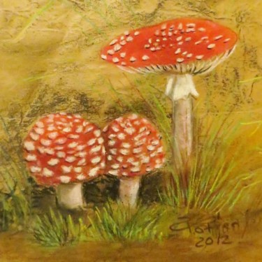 Drawing titled "Amanita muscaria II" by Annick Potier, Original Artwork, Other