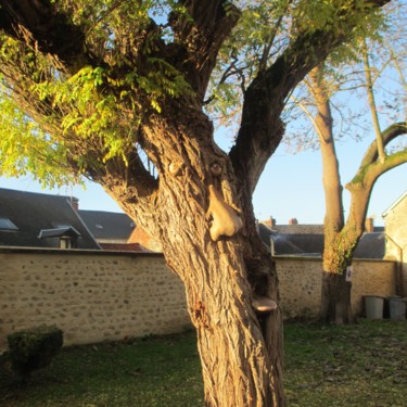 Sculptuur getiteld "En l'arbre,  le vis…" door Applestrophe, Origineel Kunstwerk, Gips