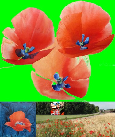 Photographie intitulée "Peints coquelicots…" par Applestrophe, Œuvre d'art originale, Photographie manipulée