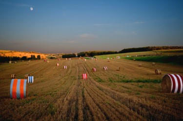 제목이 "1ier essai land art…"인 설치 Applestrophe로, 원작, 설치 미술