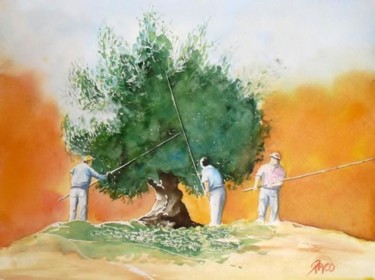 Peinture intitulée "cueillette des oliv…" par Paco Cabrera, Œuvre d'art originale