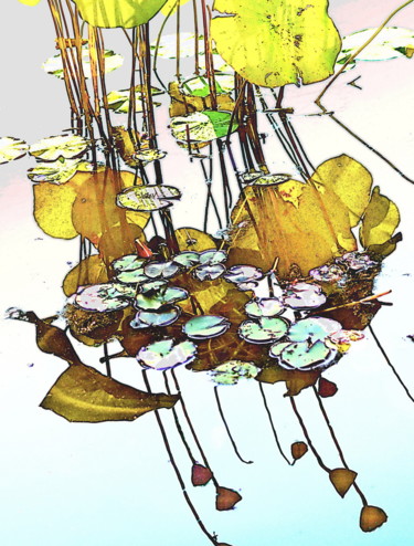 Photographie intitulée "eau lotus" par Aquartistiq, Œuvre d'art originale, Photographie numérique