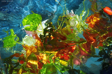 Fotografía titulada "bleu rouge aqua" por Aquartistiq, Obra de arte original, Fotografía digital