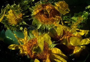 Photographie intitulée "tournesols......" par Aquartistiq, Œuvre d'art originale, Photographie numérique