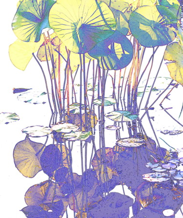 Fotografía titulada "lotus et son ombre" por Aquartistiq, Obra de arte original, Fotografía digital