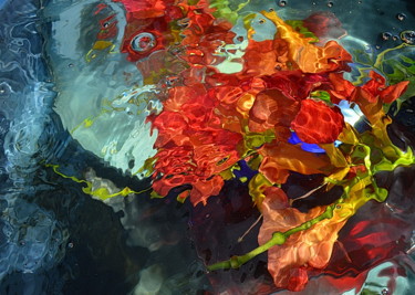 Photographie intitulée "...fleurs de bignon…" par Aquartistiq, Œuvre d'art originale, Photographie numérique