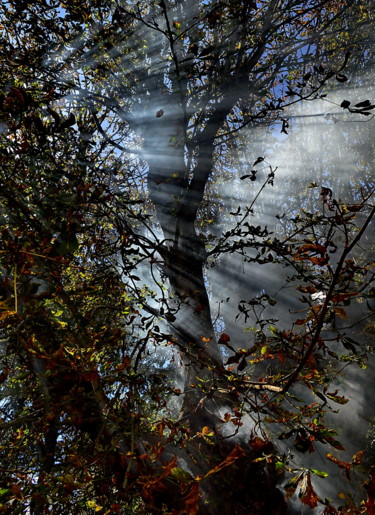 Photographie intitulée "vagues de soleil" par Aquartistiq, Œuvre d'art originale, Photographie numérique
