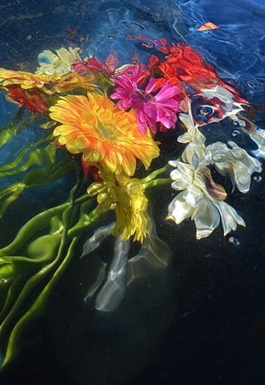 Photographie intitulée "marguerites." par Aquartistiq, Œuvre d'art originale, Photographie numérique