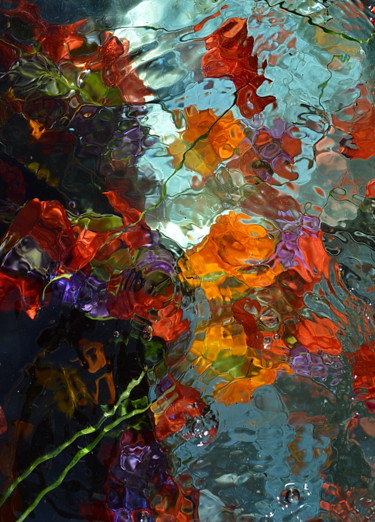 Photographie intitulée "fleurs folles / cra…" par Aquartistiq, Œuvre d'art originale, Photographie numérique