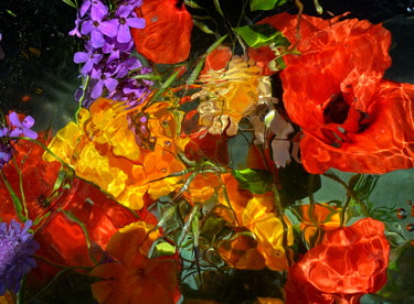 Fotografia intitulada "bouquet melange..." por Aquartistiq, Obras de arte originais, Fotografia digital