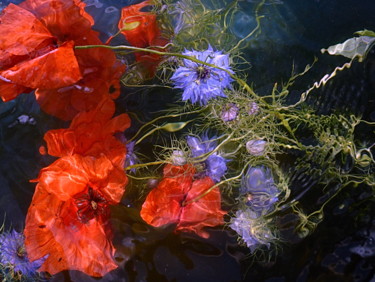 Photography titled "bleuets rouges" by Aquartistiq, Original Artwork, Digital Photography