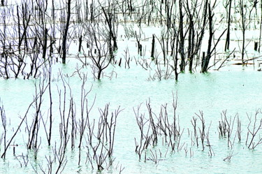 Photographie intitulée "lacs." par Aquartistiq, Œuvre d'art originale, Photographie numérique