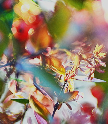 Fotografie mit dem Titel "abstraction" von Aquartistiq, Original-Kunstwerk, Digitale Fotografie
