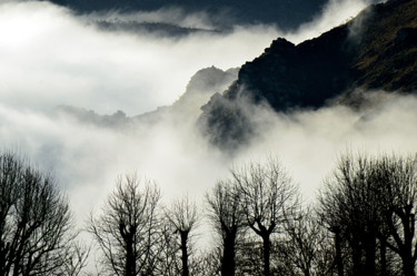 "pyrenees." başlıklı Fotoğraf Aquartistiq tarafından, Orijinal sanat, Dijital Fotoğrafçılık