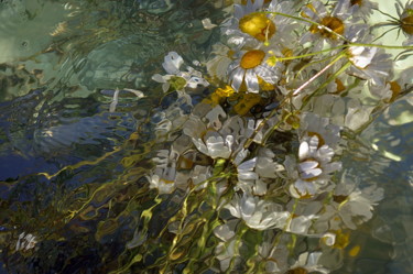 Photographie intitulée "fleurs..." par Aquartistiq, Œuvre d'art originale, Photographie numérique