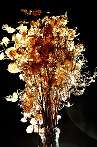Photography titled "bouquet de lumiere" by Aquartistiq, Original Artwork, Digital Photography