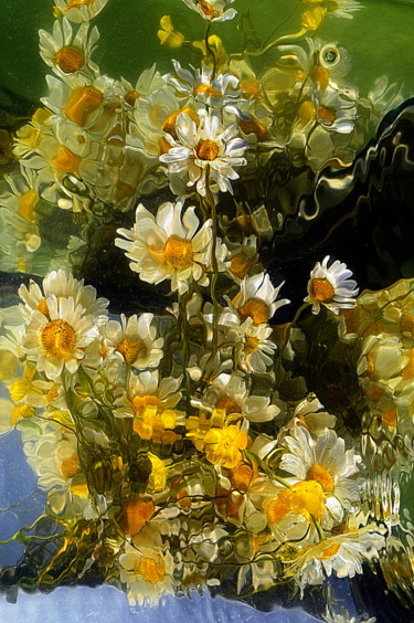 Fotografie mit dem Titel "marguerites et bout…" von Aquartistiq, Original-Kunstwerk, Digitale Fotografie