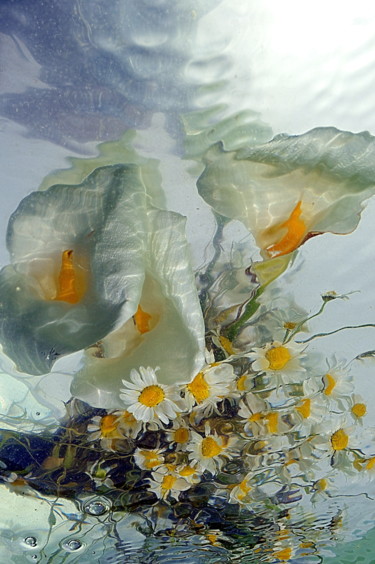 Photography titled "bouquet melange." by Aquartistiq, Original Artwork, Digital Photography