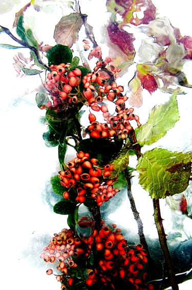 Fotografie getiteld "automne.....1" door Aquartistiq, Origineel Kunstwerk, Digitale fotografie