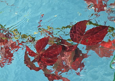 Fotografia intitulada "automne dans l' eau" por Aquartistiq, Obras de arte originais, Fotografia digital