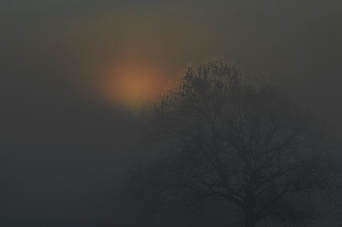 Fotografia intitolato "brouillard" da Aquartistiq, Opera d'arte originale, Fotografia digitale