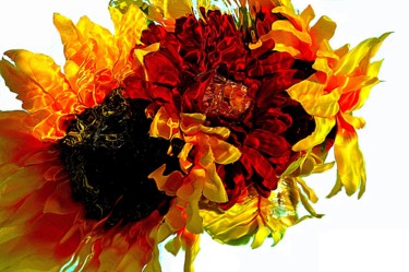 Photographie intitulée "composition florale" par Aquartistiq, Œuvre d'art originale, Photographie numérique