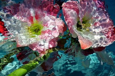 Fotografia zatytułowany „amaryllis 2” autorstwa Aquartistiq, Oryginalna praca, Fotografia cyfrowa