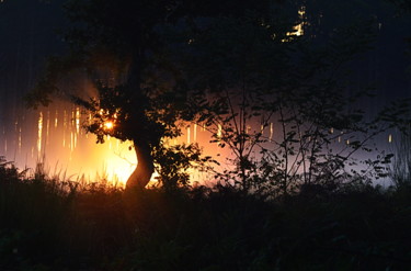 Photographie intitulée "lumière du matin..." par Aquartistiq, Œuvre d'art originale, Photographie numérique