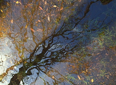 Photographie intitulée "reflets..." par Aquartistiq, Œuvre d'art originale, Photographie numérique