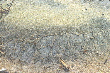 Photographie intitulée "dessins de sable" par Aquartistiq, Œuvre d'art originale, Photographie numérique