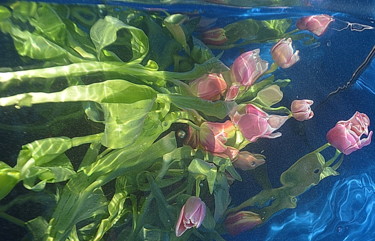 Photographie intitulée "...tulipes......" par Aquartistiq, Œuvre d'art originale, Photographie numérique