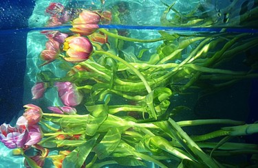 Photographie intitulée "quelques tulipes...." par Aquartistiq, Œuvre d'art originale, Photographie numérique