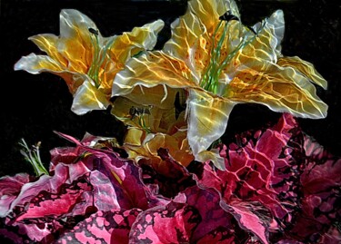 Photographie intitulée "lys jaune et feuill…" par Aquartistiq, Œuvre d'art originale, Photographie numérique