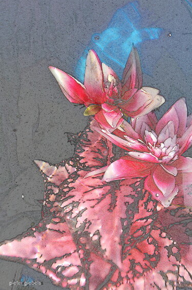 Photographie intitulée "fleurs imaginaires" par Aquartistiq, Œuvre d'art originale, Photographie numérique