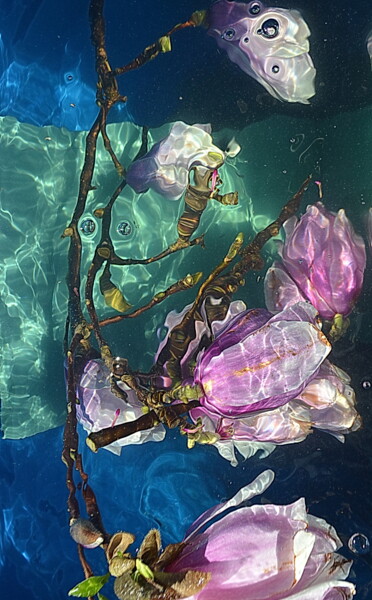 Photographie intitulée "tulipiers." par Aquartistiq, Œuvre d'art originale, Photographie numérique