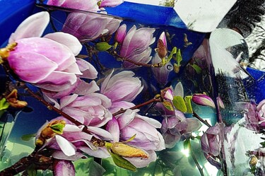 Photographie intitulée "Magnolias..." par Aquartistiq, Œuvre d'art originale, Photographie numérique