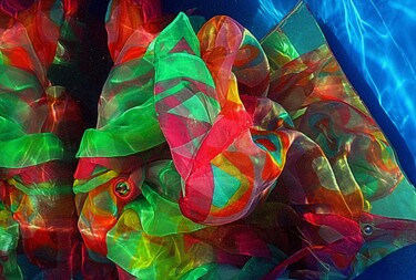 Photographie intitulée "les foulards de syl…" par Aquartistiq, Œuvre d'art originale, Photographie numérique
