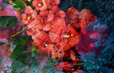 Photographie intitulée "bignonnes rouges." par Aquartistiq, Œuvre d'art originale, Photographie numérique