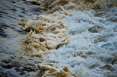 Photographie intitulée "mousse d'eau" par Aquartistiq, Œuvre d'art originale, Photographie numérique