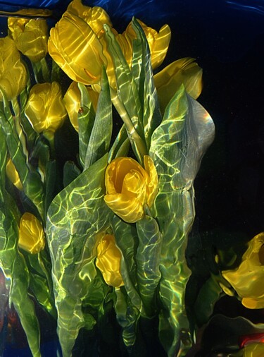 Photographie intitulée "vert et jaune." par Aquartistiq, Œuvre d'art originale, Photographie numérique