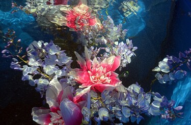 Photographie intitulée "glycine et d'autres…" par Aquartistiq, Œuvre d'art originale, Photographie numérique