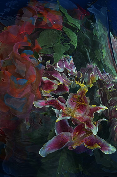 Photographie intitulée "lysss" par Aquartistiq, Œuvre d'art originale, Photographie numérique