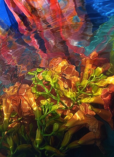 Fotografia intitulada "water colours" por Aquartistiq, Obras de arte originais, Fotografia digital