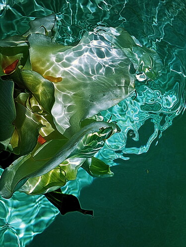 Fotografia intitolato "mélange d'arums" da Aquartistiq, Opera d'arte originale, Fotografia digitale