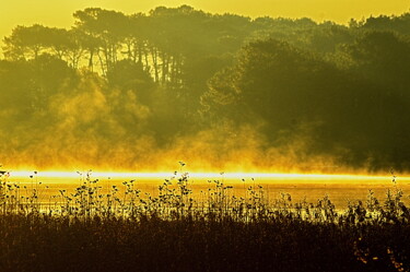 Photographie intitulée "l'étang blanc dans…" par Aquartistiq, Œuvre d'art originale, Photographie numérique