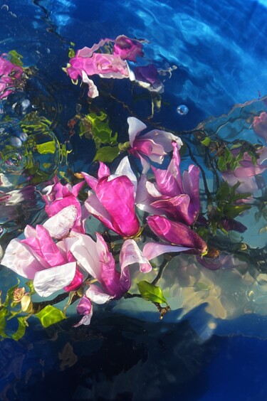 Photographie intitulée "magnolias  bis" par Aquartistiq, Œuvre d'art originale, Photographie numérique