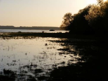 Фотография под названием "lac" - Aquartistiq, Подлинное произведение искусства